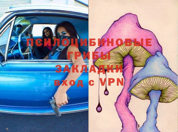 эйфоретик Алзамай