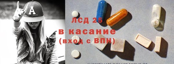 эйфоретик Алзамай