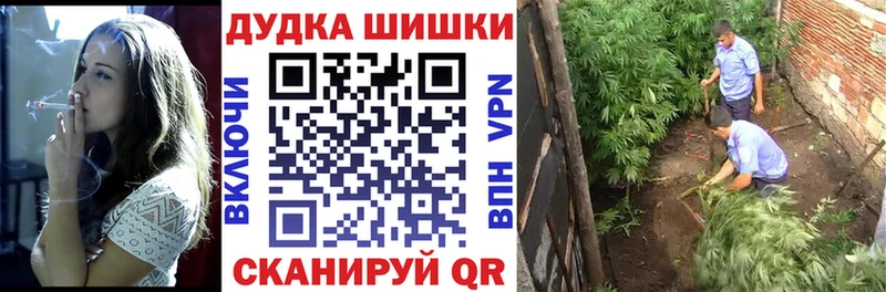 сайты даркнета телеграм  Рошаль  Канабис индика 